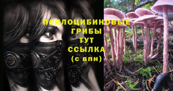 тгк Зерноград