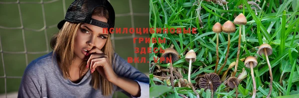 ECSTASY Зеленодольск