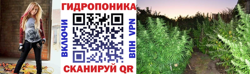 Купить  Заинск  Марихуана тримм 